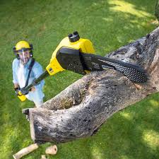 Best Organic Lawn Care Solutions  in Sisco Heights, WA